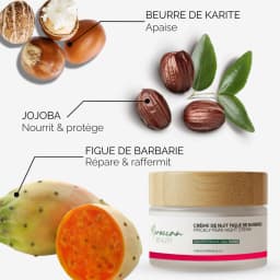 Prickly pear night cream - 100% natural
